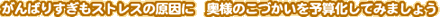 ΂肷XgX̌Ɂ@l̂Â\ZĂ݂܂傤