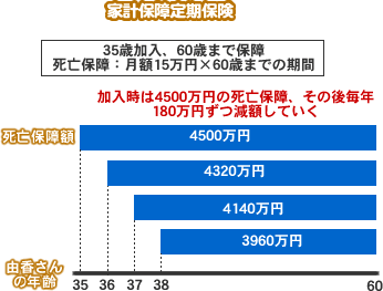 家計保障定期保険