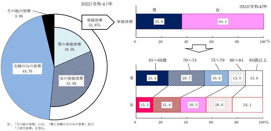 高齢者世帯の世帯構造、65 歳以上の単独世帯の性・年齢構成のグラフ